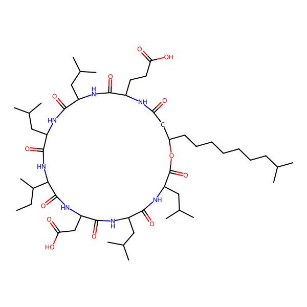 2D Structure of [Ile4]Surfactin