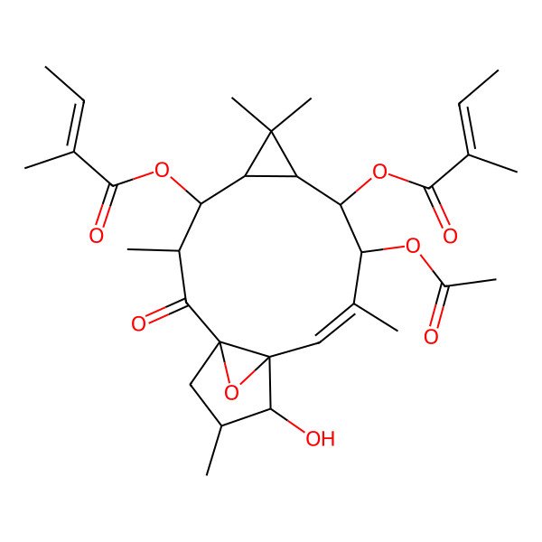 2D Structure of [(1R,3R,4R,5R,7S,8S,9R,10E,12S,13S,14S)-9-acetyloxy-13-hydroxy-3,6,6,10,14-pentamethyl-8-[(E)-2-methylbut-2-enoyl]oxy-2-oxo-16-oxatetracyclo[10.3.1.01,12.05,7]hexadec-10-en-4-yl] (E)-2-methylbut-2-enoate