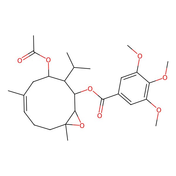 2D Structure of Involucrin 2D Structure of Involucrin