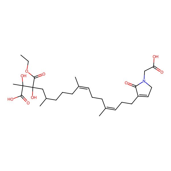 2D Structure of ircinialactam D