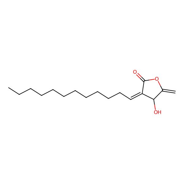 2D Structure of Isolicomolide D