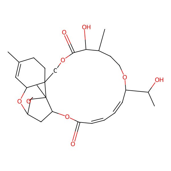 2D Structure of Isororidin A