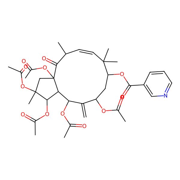 2D Structure of Jatrophane 1