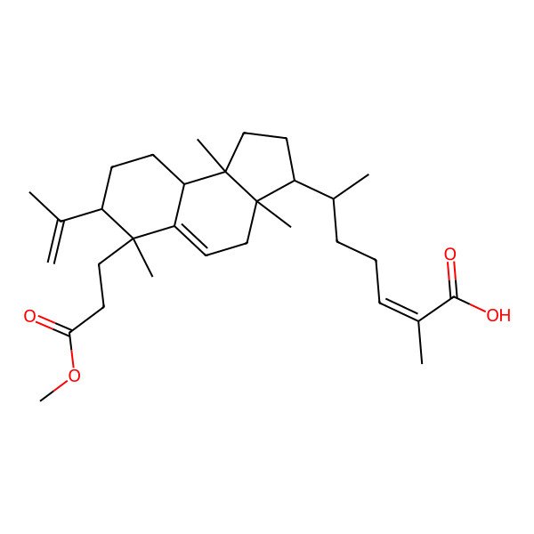 2D Structure of Kadsuric acid 3-methylester 2D Structure of Kadsuric acid 3-methylester