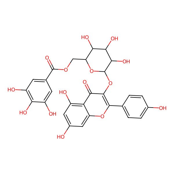 2D Structure of Kaempferol 3-O-(6''-galloyl)-beta-D-glucopyranoside