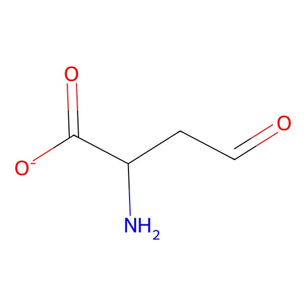 2D Structure of L-Aspartate 4-semialdehyde