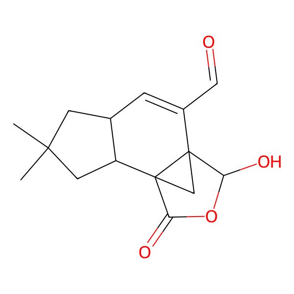 2D Structure of Lachnella fungus
