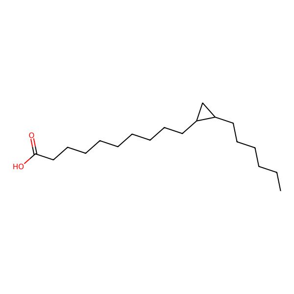 2D Structure of Lactobacillic acid
