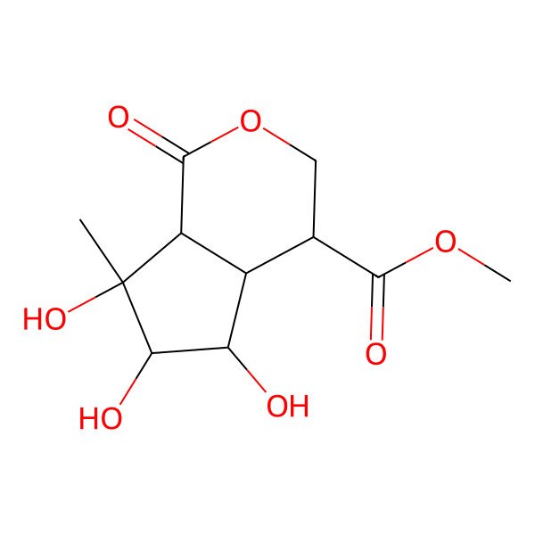 2D Structure of Latifonin