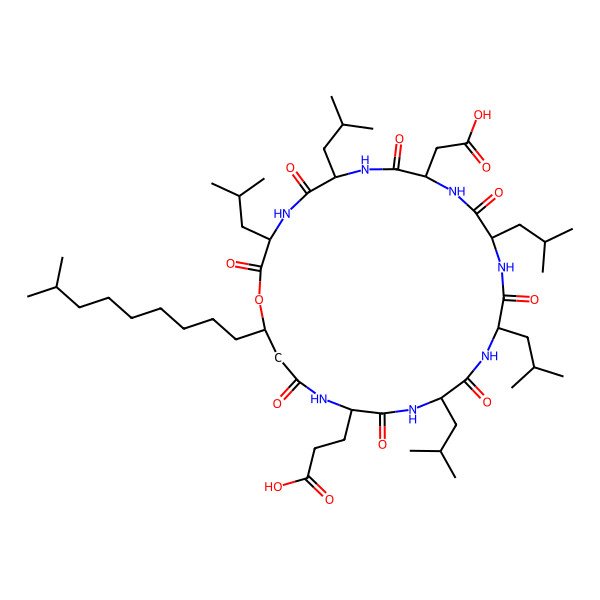 2D Structure of (Leu4)Surfactin