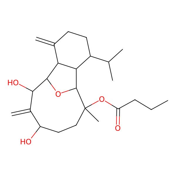 2D Structure of litophynol A