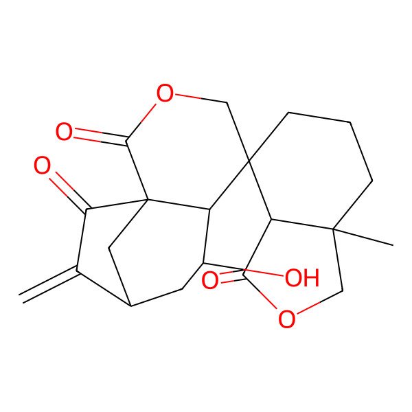 2D Structure of ludongnin A 2D Structure of ludongnin A