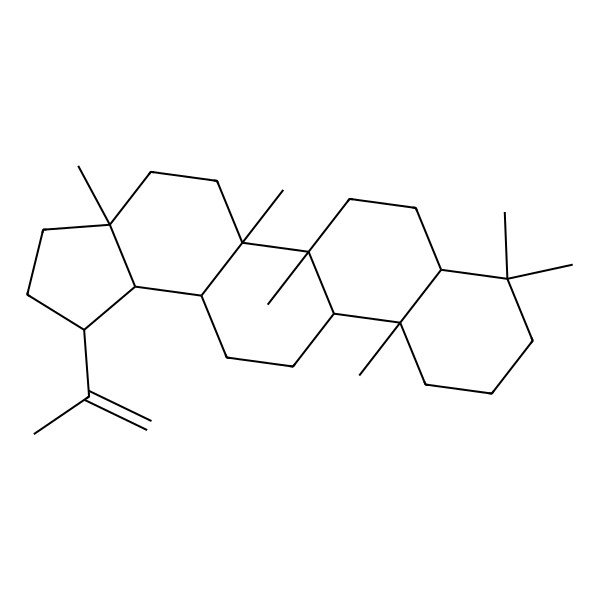 2D Structure of Lup-20(29)-ene 2D Structure of Lup-20(29)-ene