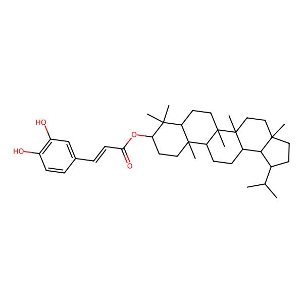 2D Structure of Lupan-3beta-caffeate