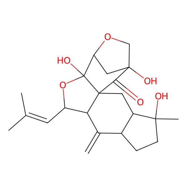 2D Structure of Mangiterpene A