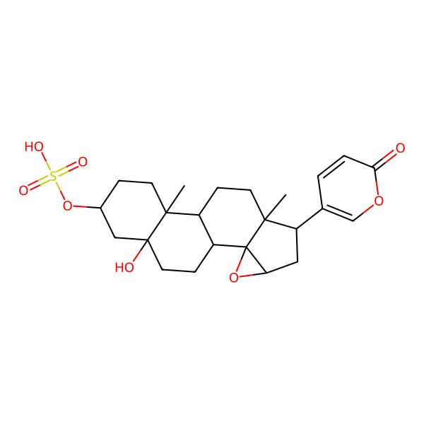 2D Structure of Marinobufagin 3-sulfate