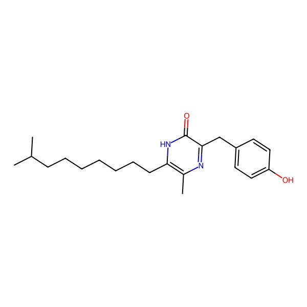 2D Structure of Marinopyrazinone B