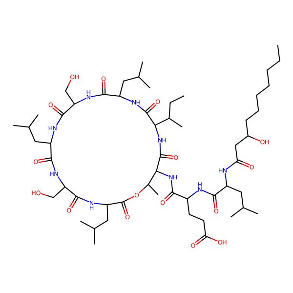 2D Structure of Massetolide D