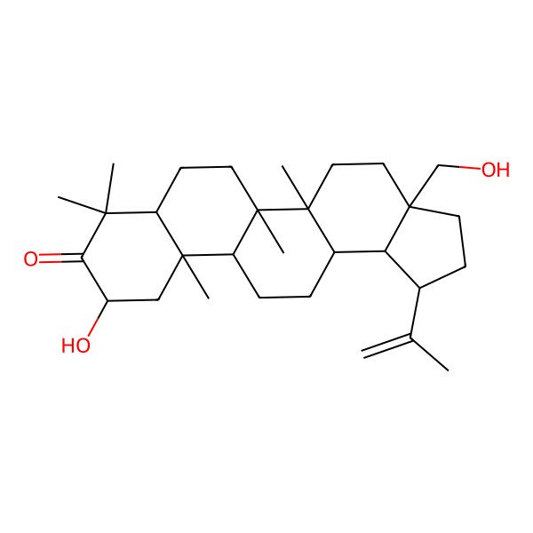 2D Structure of Maytefolin A