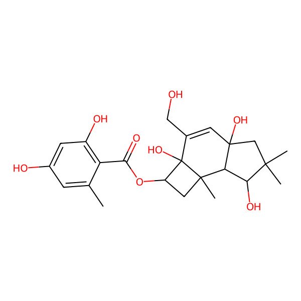 2D Structure of Melledonol