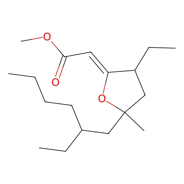 2D Structure of methyl (2Z)-2-[(3R,5S)-3-ethyl-5-[(2S)-2-ethylhexyl]-5-methyloxolan-2-ylidene]acetate