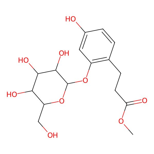 2D Structure of Methyl 3-[4-hydroxy-2-[3,4,5-trihydroxy-6-(hydroxymethyl)oxan-2-yl]oxyphenyl]propanoate