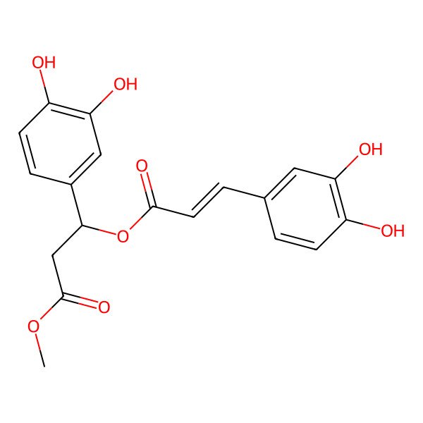 2D Structure of methyl (3R)-3-(3,4-dihydroxyphenyl)-3-[(E)-3-(3,4-dihydroxyphenyl)prop-2-enoyl]oxypropanoate