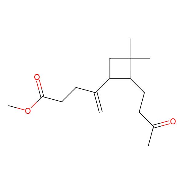 2D Structure of Methyl 4-[3,3-dimethyl-2-(3-oxobutyl)cyclobutyl]pent-4-enoate