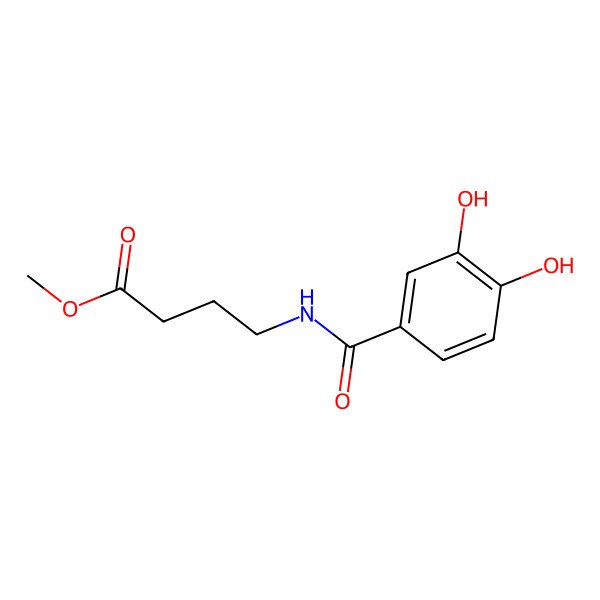 2D Structure of Methyl 4-(3,4-dihydroxybenzamido)butanoate