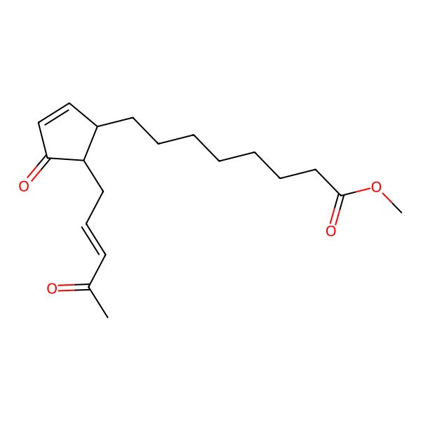 2D Structure of methyl 8-[(1S,5R)-4-oxo-5-[(E)-4-oxopent-2-enyl]cyclopent-2-en-1-yl]octanoate