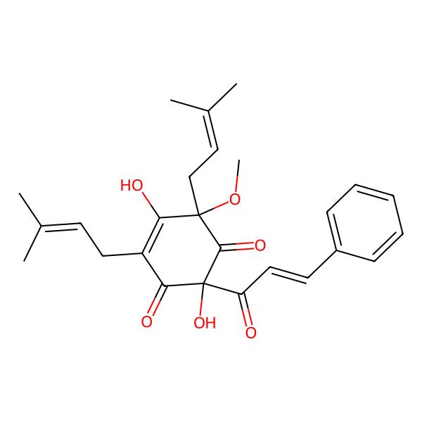 2D Structure of Microfolian