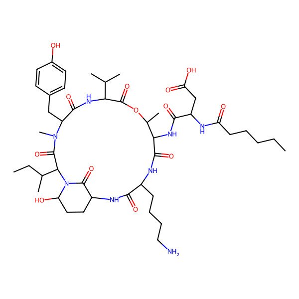 2D Structure of (3S)-4-[[(2S,5S,8S,11R,12S,15S,18S,21R)-15-(4-aminobutyl)-2-butan-2-yl-21-hydroxy-5-[(4-hydroxyphenyl)methyl]-4,11-dimethyl-3,6,9,13,16,22-hexaoxo-8-propan-2-yl-10-oxa-1,4,7,14,17-pentazabicyclo[16.3.1]docosan-12-yl]amino]-3-(hexanoylamino)-4-oxobutanoic acid