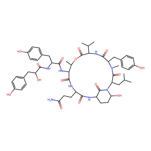 2D Structure of Micropeptin TR1058