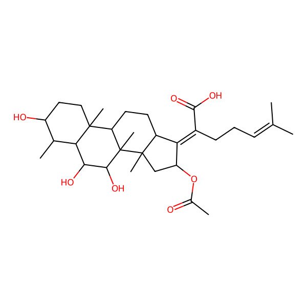 2D Structure of Monodesacetylcephalosporin-P1