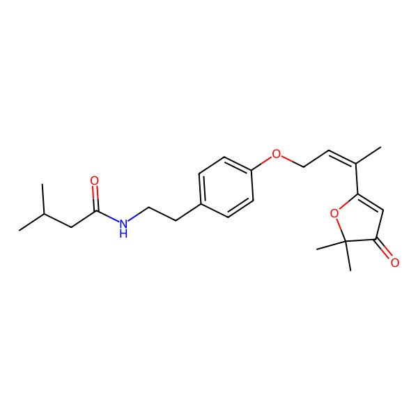 2D Structure of N-[2-[4-[3-(5,5-dimethyl-4-oxofuran-2-yl)but-2-enoxy]phenyl]ethyl]-3-methylbutanamide