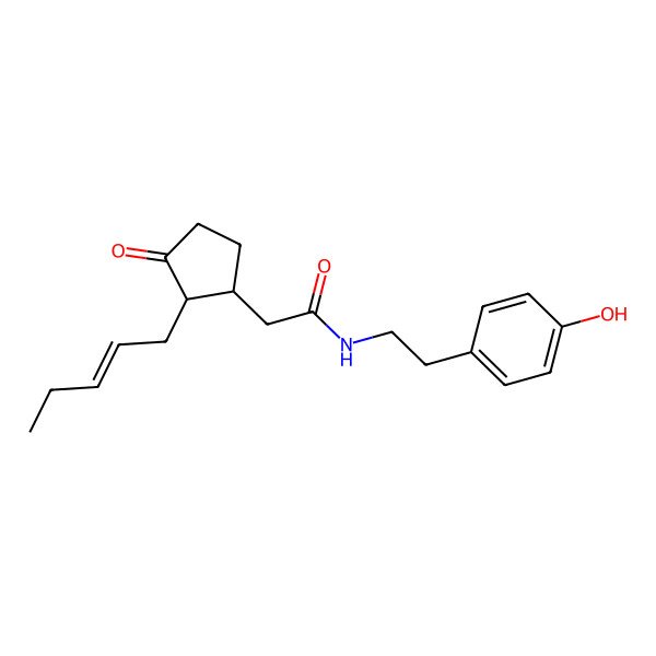 2D Structure of N-[2-(4-hydroxyphenyl)ethyl]-2-[(1R,2R)-3-oxo-2-[(Z)-pent-2-enyl]cyclopentyl]acetamide