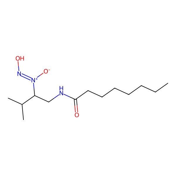 2D Structure of N-[2-[hydroxy(nitroso)amino]-3-methylbutyl]octanamide