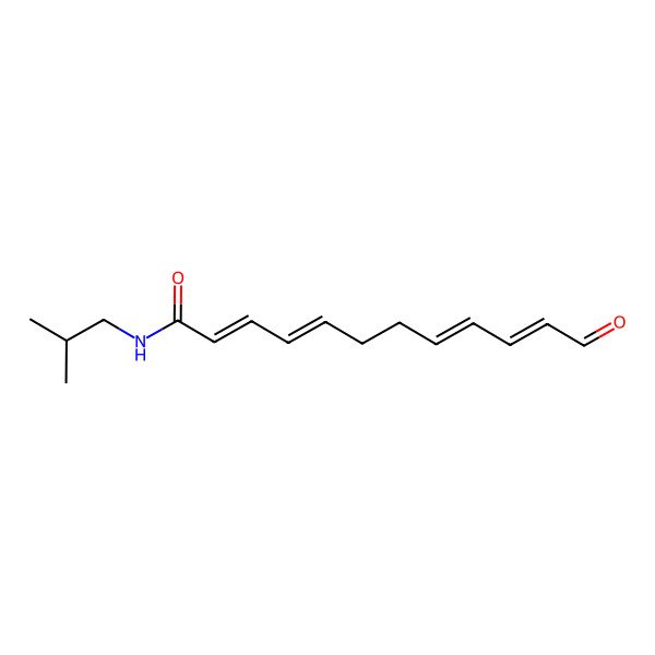 2D Structure of N-(2-methylpropyl)-12-oxododeca-2,4,8,10-tetraenamide