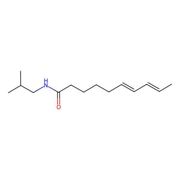 2D Structure of N-(2-methylpropyl)deca-6,8-dienamide 2D Structure of N-(2-methylpropyl)deca-6,8-dienamide