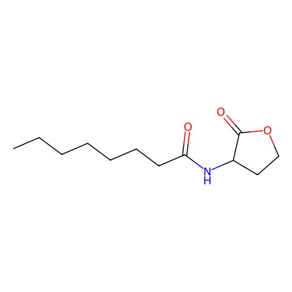 2D Structure of N-(2-Oxotetrahydrofuran-3-YL)octanamide
