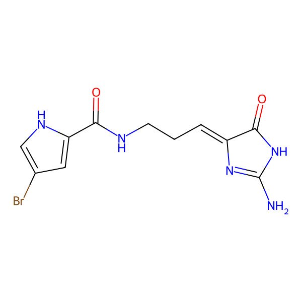 2D Structure of N-[3-(2-amino-5-oxo-1H-imidazol-4-ylidene)propyl]-4-bromo-1H-pyrrole-2-carboxamide