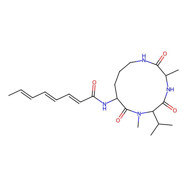 2D Structure of N-(3,7-dimethyl-2,5,8-trioxo-6-propan-2-yl-1,4,7-triazacyclododec-9-yl)octa-2,4,6-trienamide