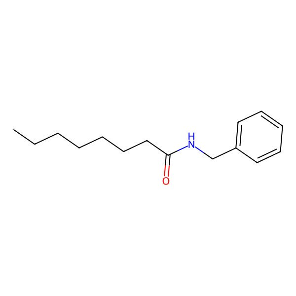 2D Structure of N-benzyloctanamide 2D Structure of N-benzyloctanamide