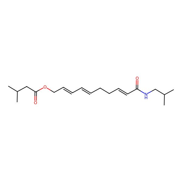 2D Structure of N-Isobutyl-10-(isobutylcarbonyloxy)(2E,6Z,8E)-decatrienamide 2D Structure of N-Isobutyl-10-(isobutylcarbonyloxy)(2E,6Z,8E)-decatrienamide