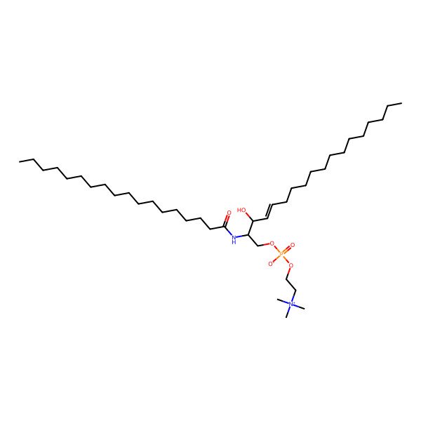2D Structure of N-Stearoylsphingomyelin