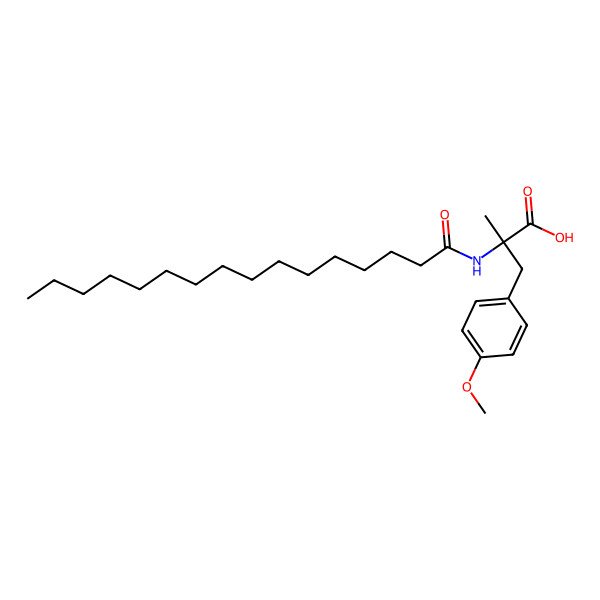 2D Structure of N-palmitoyl-alpha,O-dimethyl-L-tyrosine
