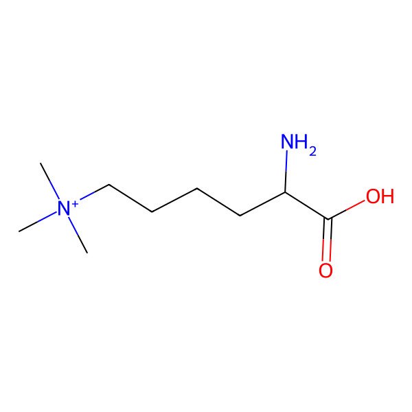 2D Structure of N-Trimethyllysine