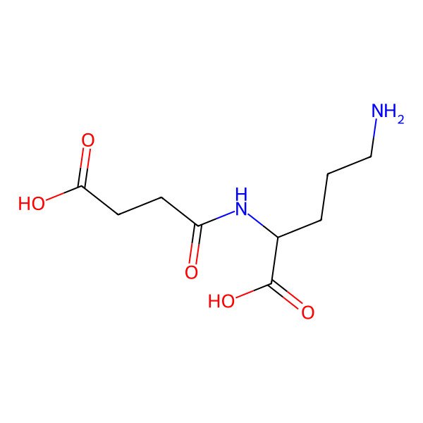 2D Structure of N~2~-Succinylornithine