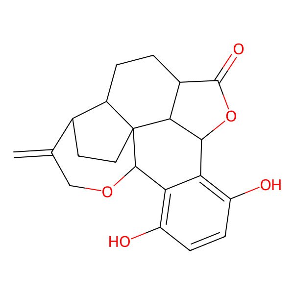 2D Structure of Nematoctone
