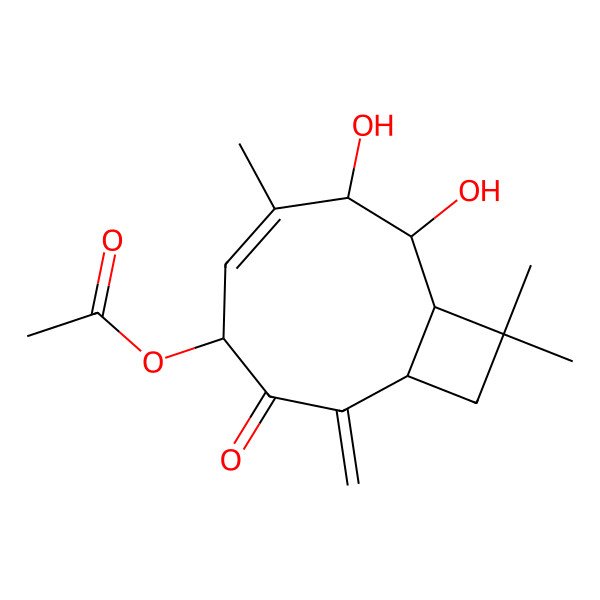 2D Structure of Nematolin
